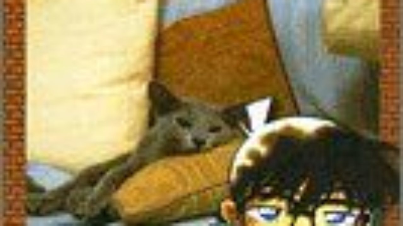 名探偵コナン原作コミックス51巻 青山剛昌