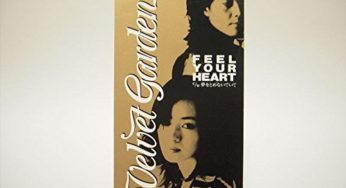 名探偵コナンOP主題歌-Feel Your Heart- （Velvet Garden）
